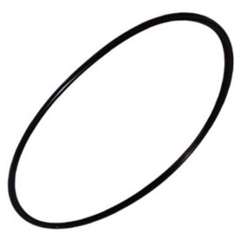 O-Ring Replacement for Anion Shower Head