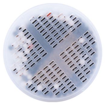 Ceramic with KDF Filter for Anion 101 & II